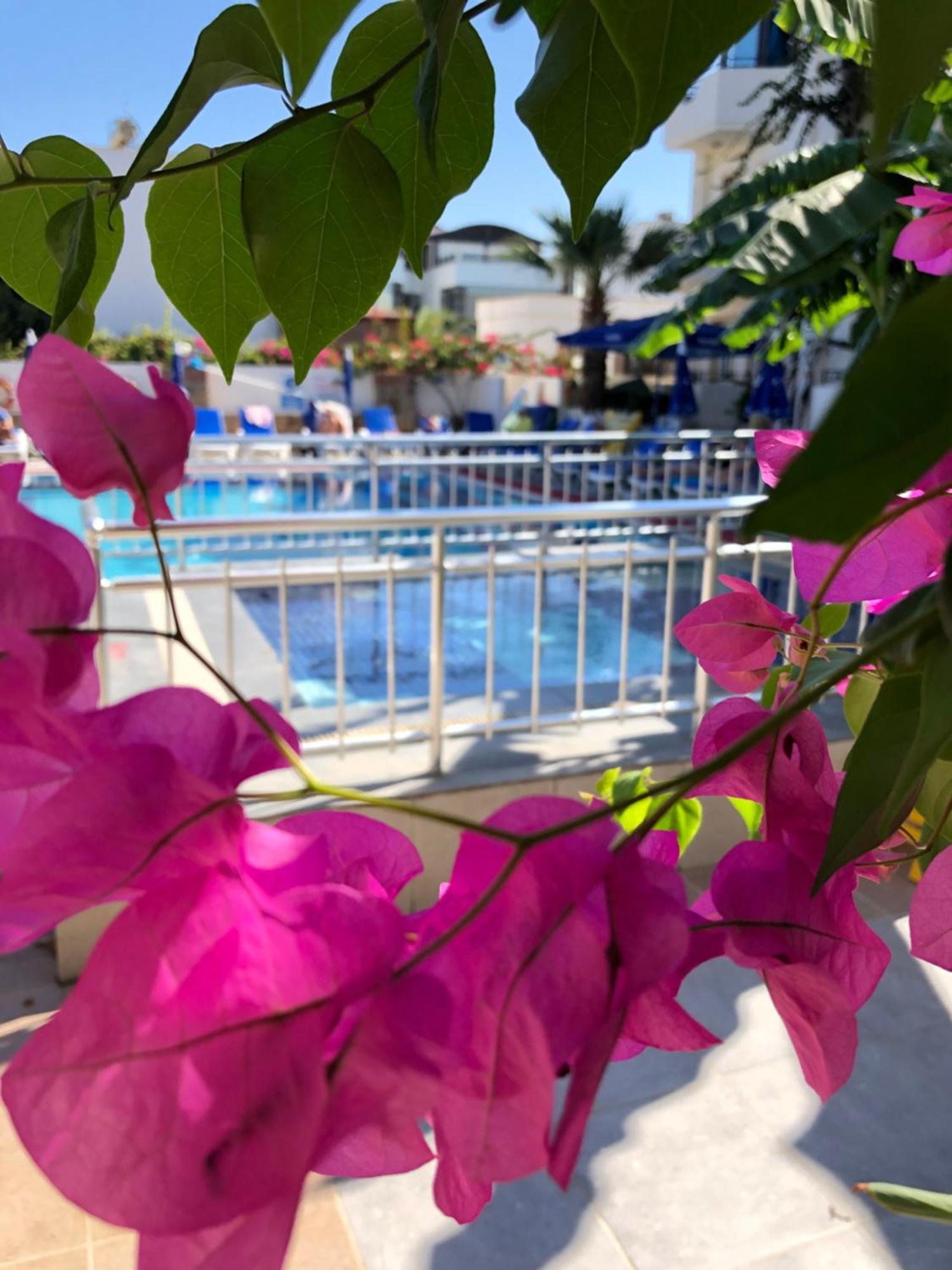Palmiye Apart Otel Bodrum Dış mekan fotoğraf